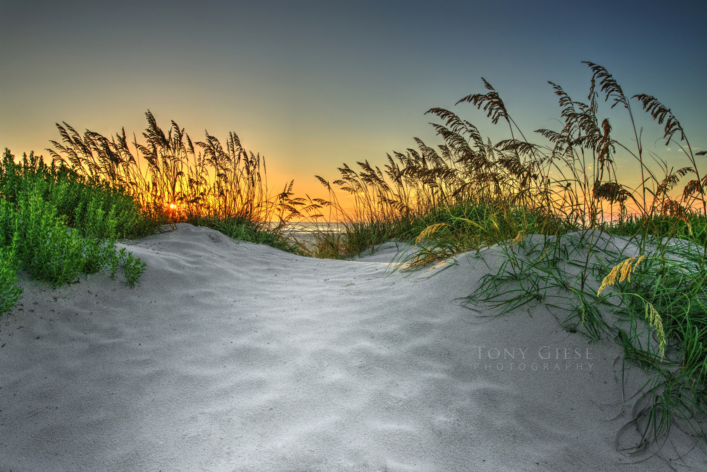 Daytona Beach path leading to sunrise